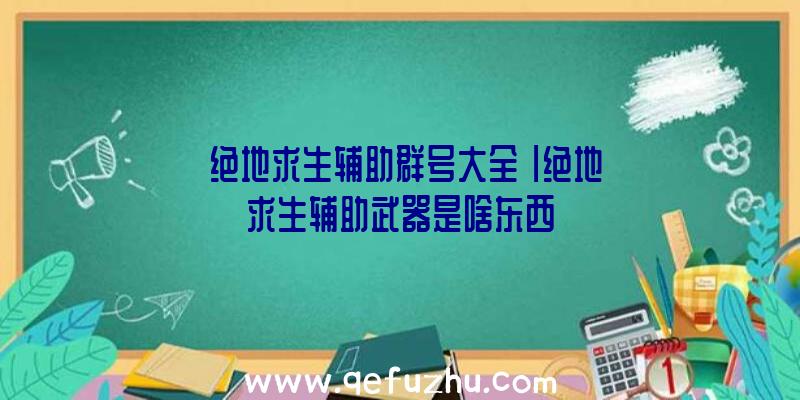 「绝地求生辅助群号大全」|绝地求生辅助武器是啥东西